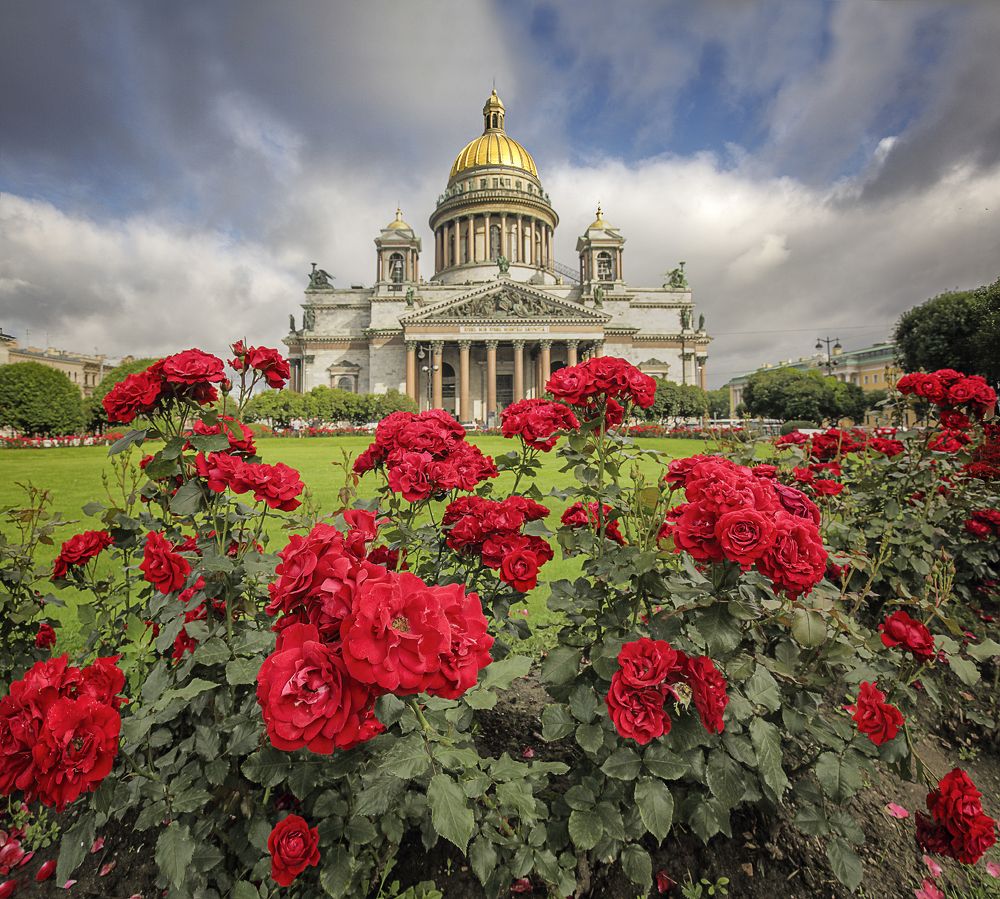 В обрамлении роз