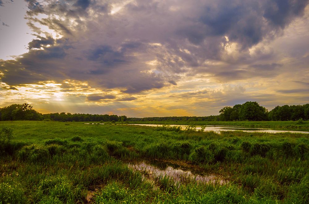 Тихий вечер