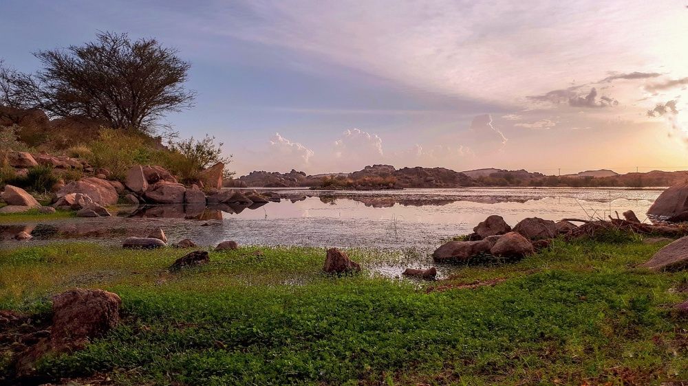 Photograph by Shady Kanaan