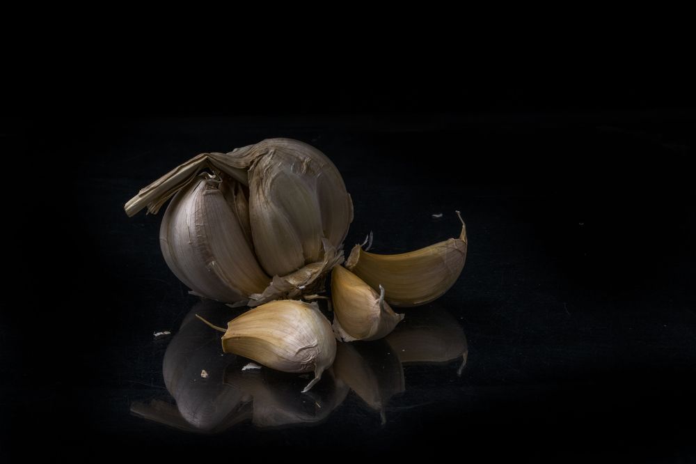 Garlic