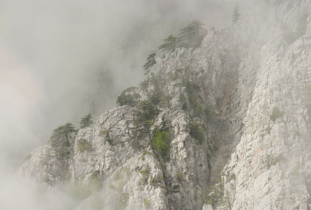 В туманах Олимпоса