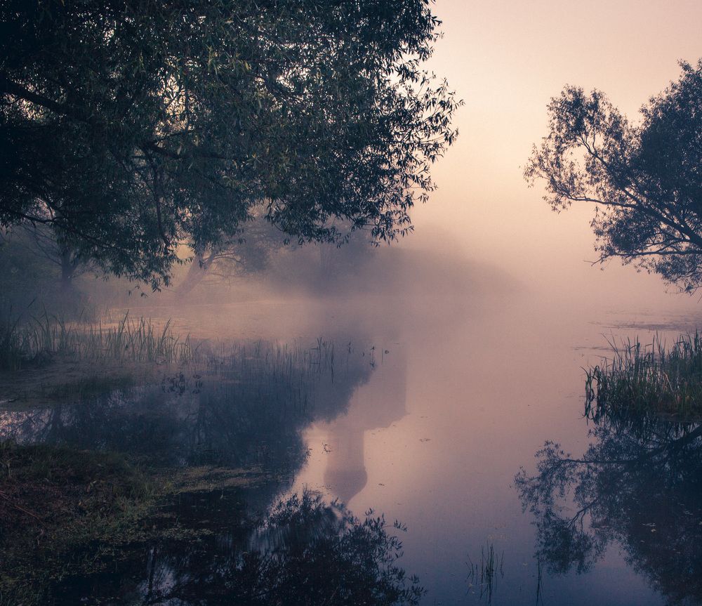 Сиреневый туман