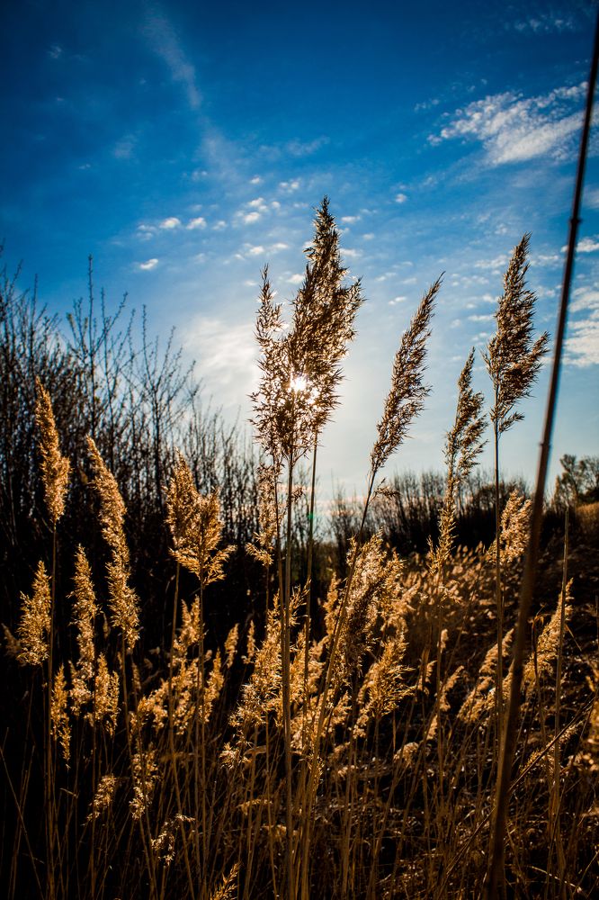 Photograph by Дмитрий Лепаков