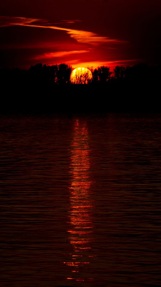 Photograph by Дмитрий Лепаков