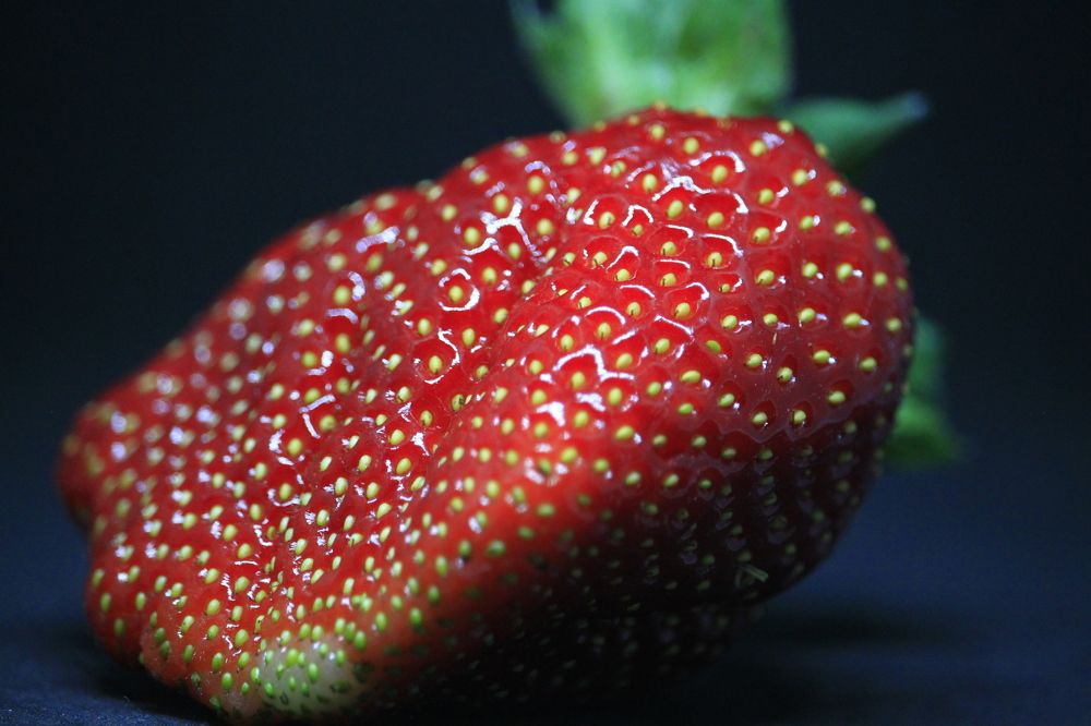 Strawberry macro