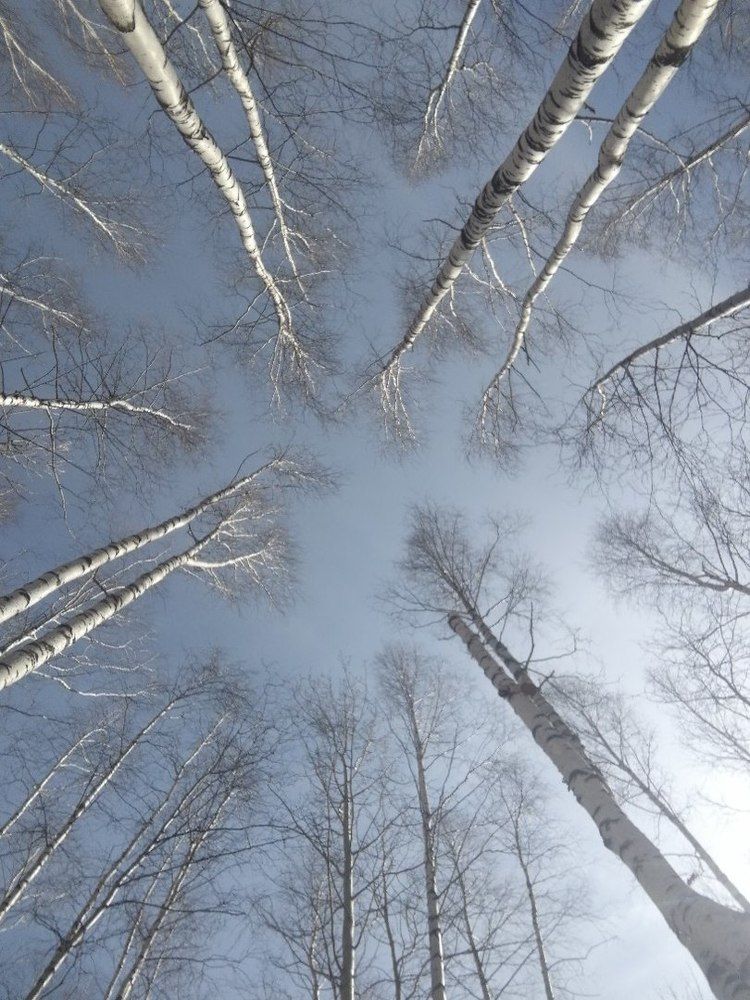 полет души