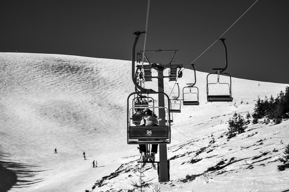 дикая цивилизация