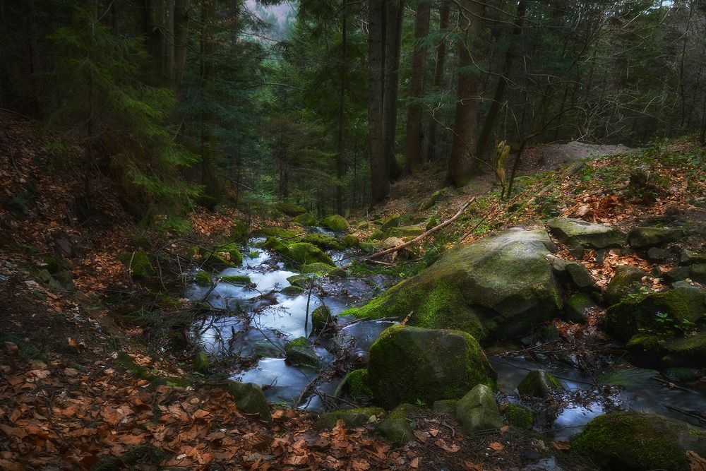 Photograph by Slava Lucky