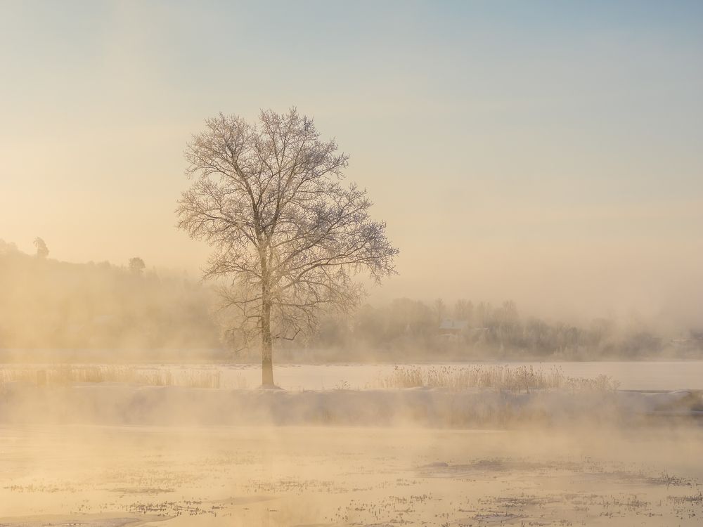 Морозное утро