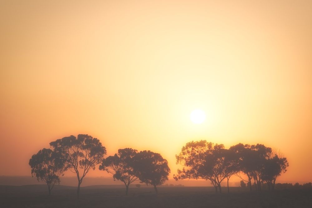 Sunset in the Negev Desert.