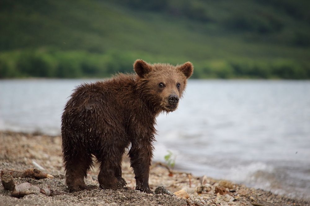 First summer on Earth