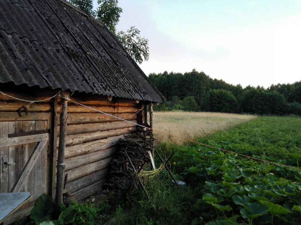 Умиротворенность