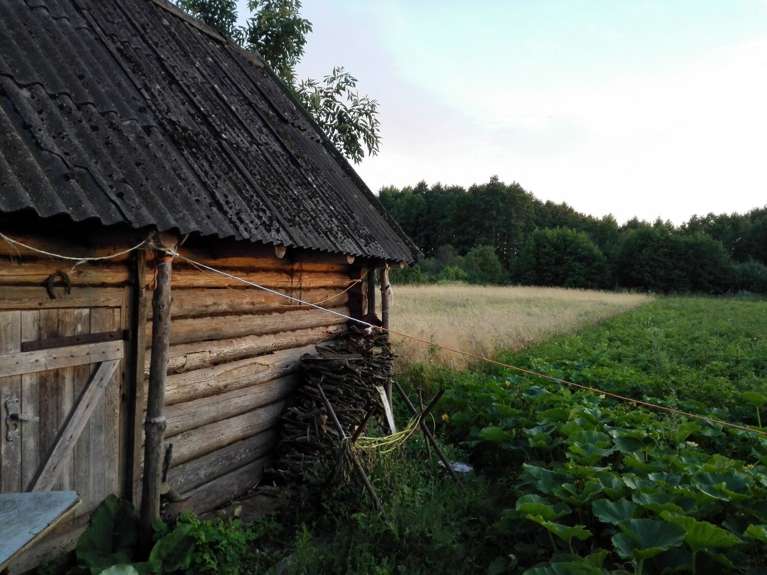 Умиротворенность