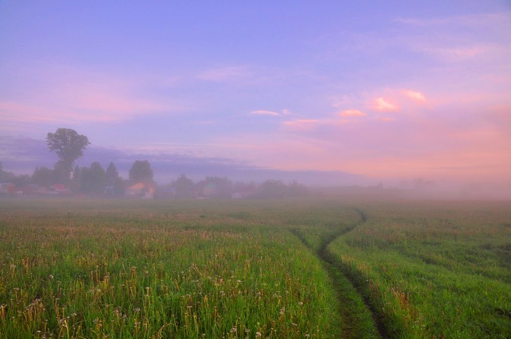 поле.туман.река.