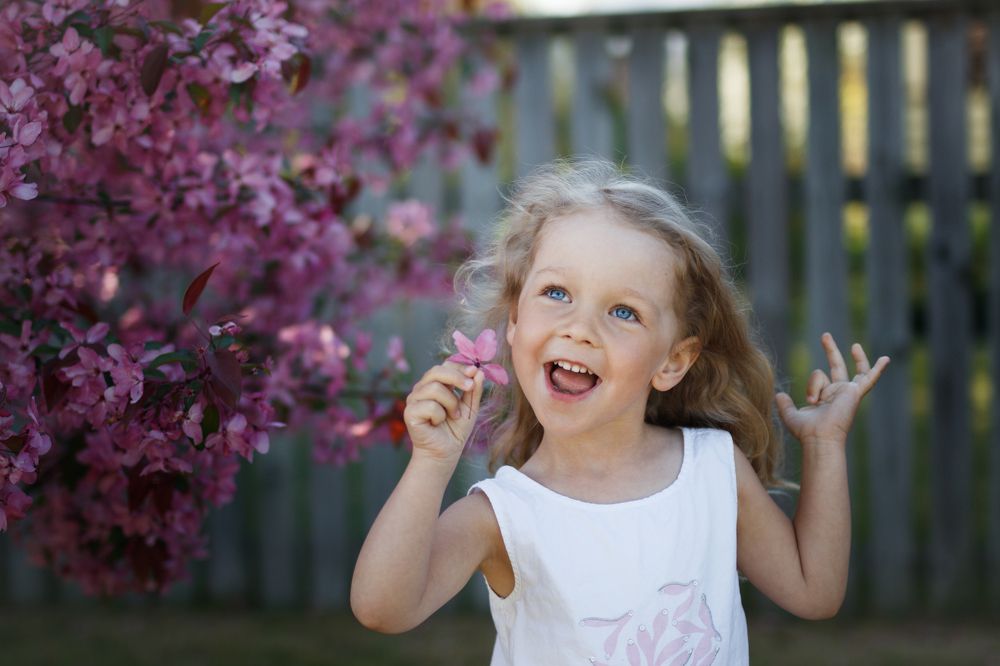 Цветок жизни