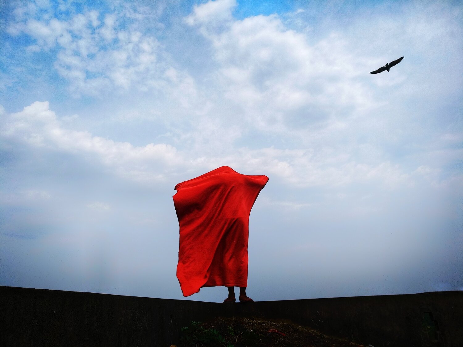 Freedom Seeker