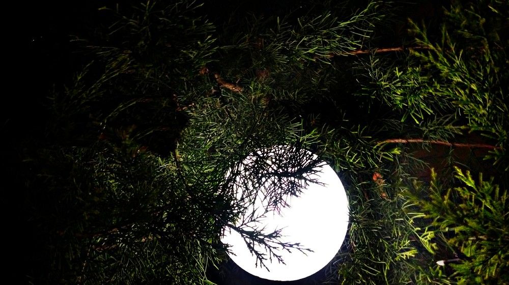 Moon