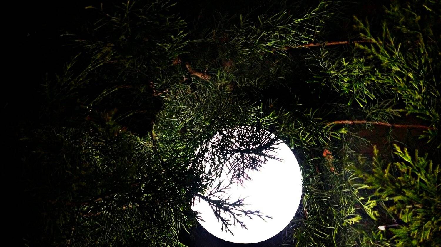 Moon