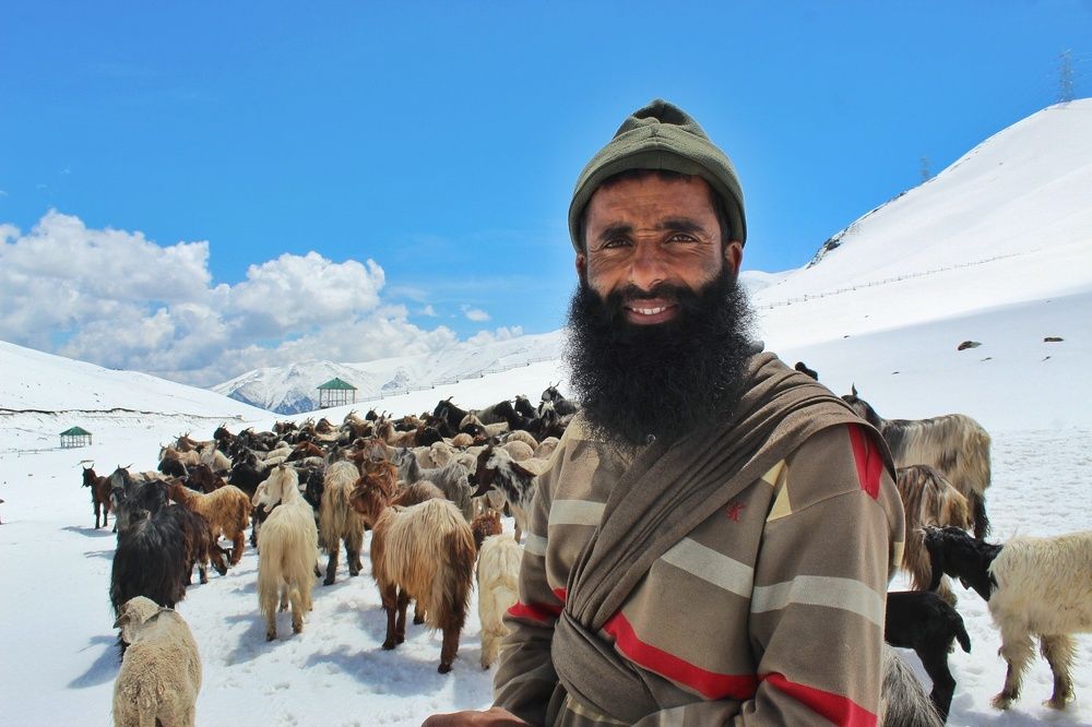 The nomad of Jammu and Kashmir