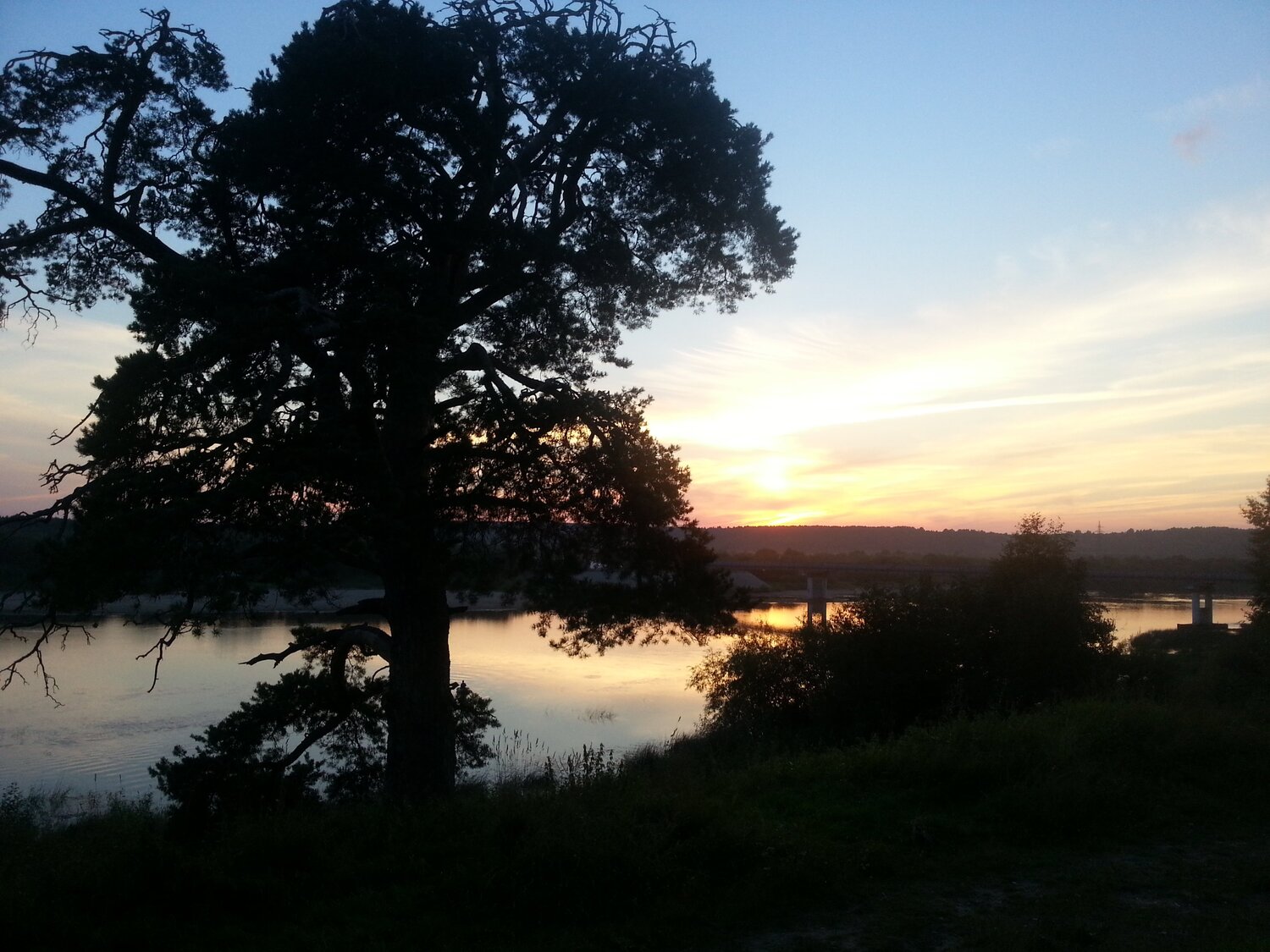 Photo #2355854