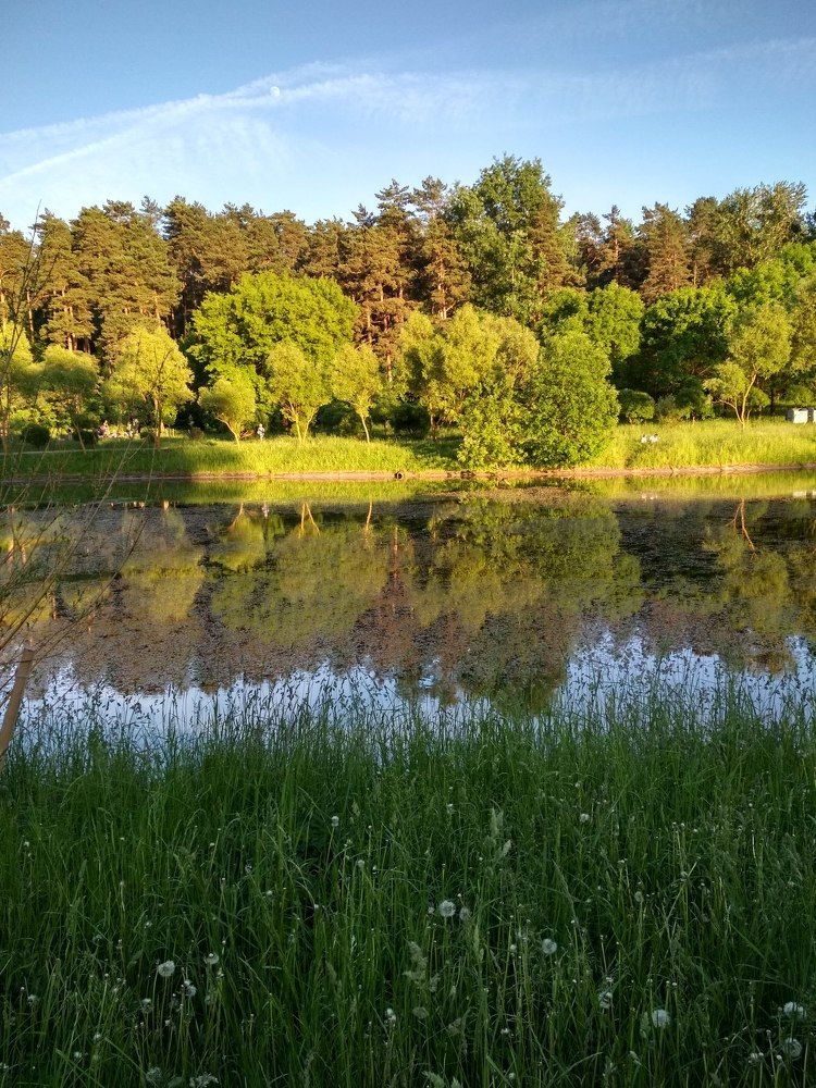 Photograph by Карина Дубовик