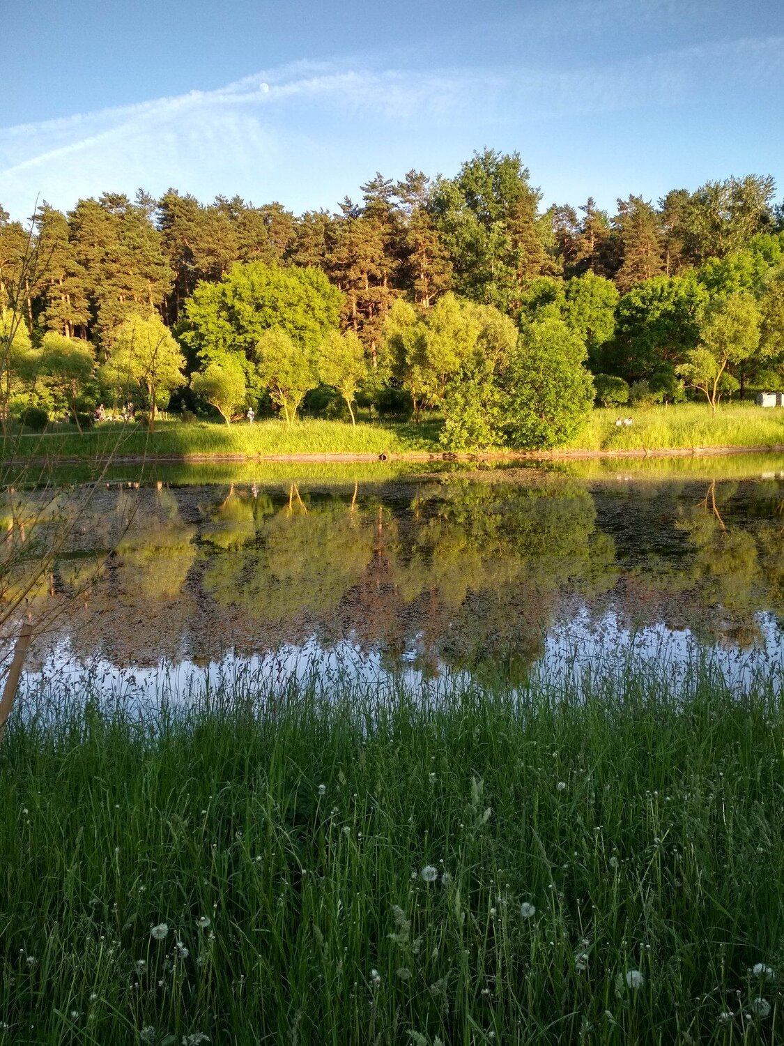 Photo #2355951