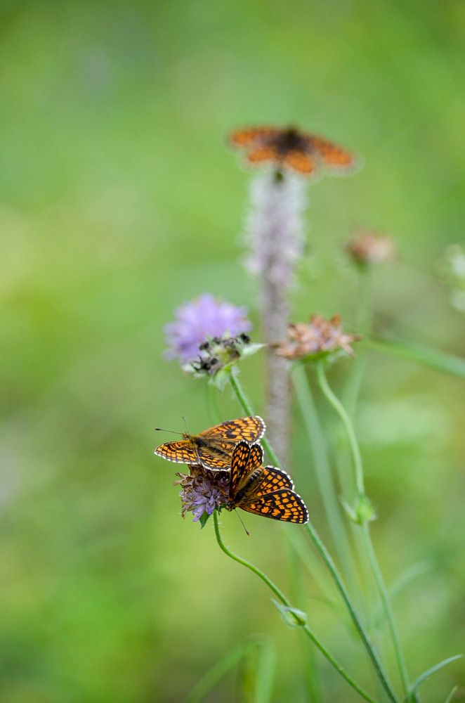 выбор есть всегда