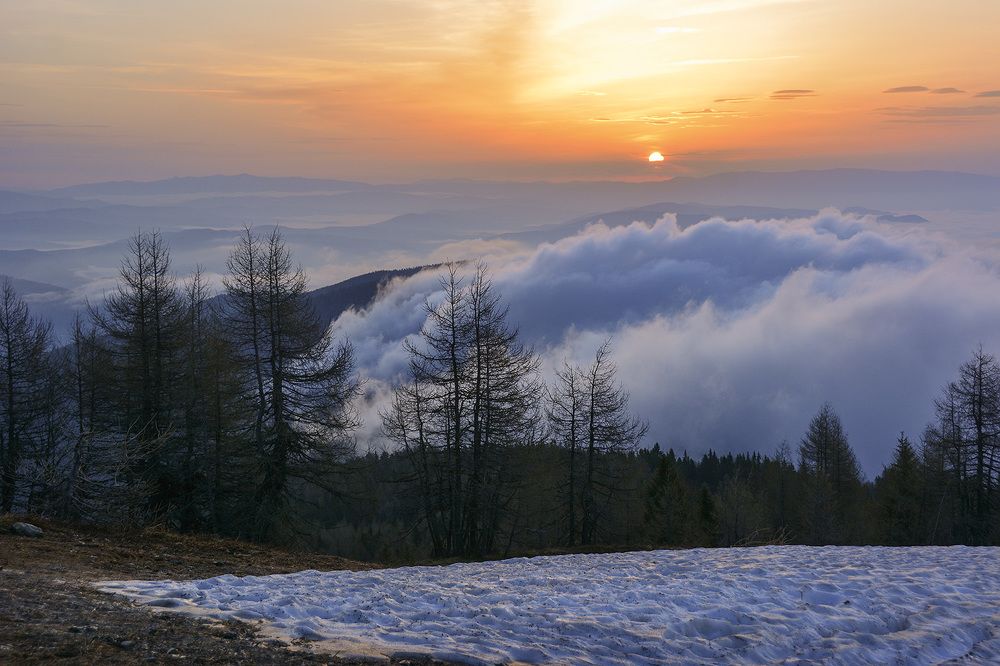 Молчаливое созерцание и наслаждение