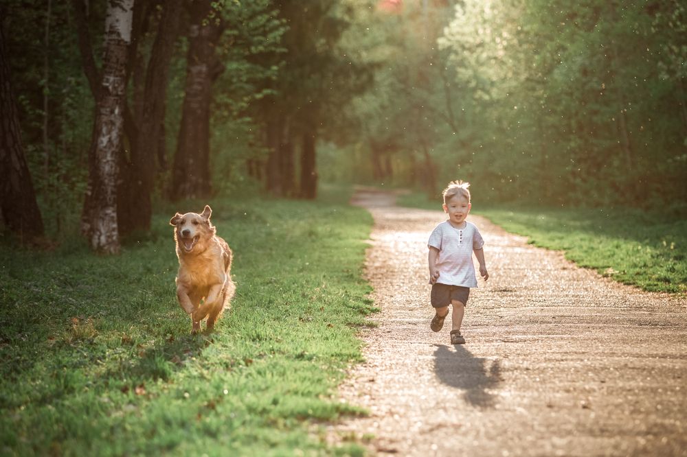 Лето детства