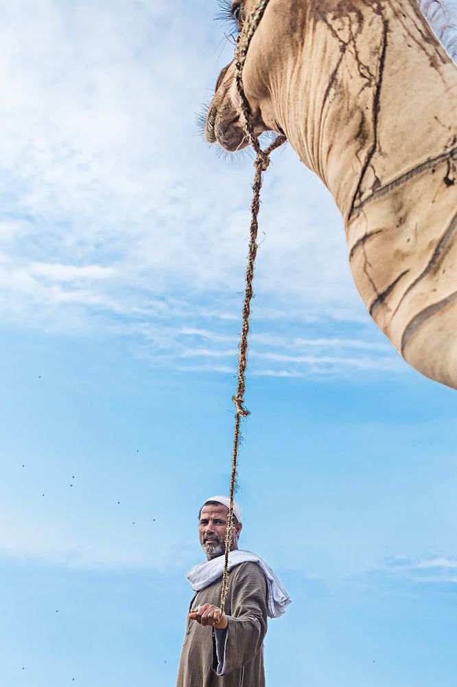 The camel man