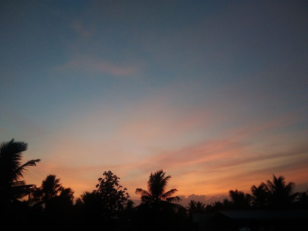 Sky