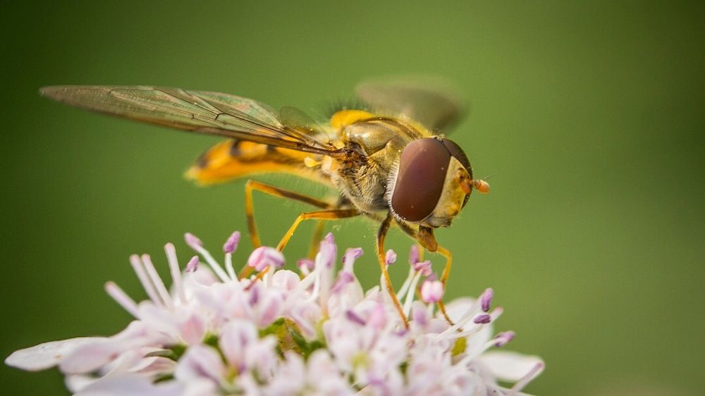 Photograph by Arunprasad Sahadevan
