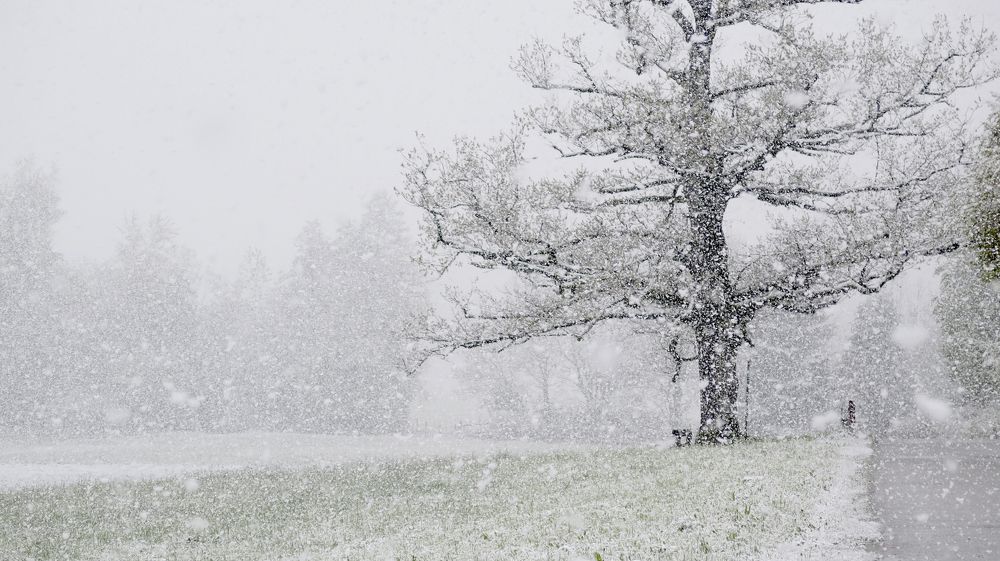 April snow