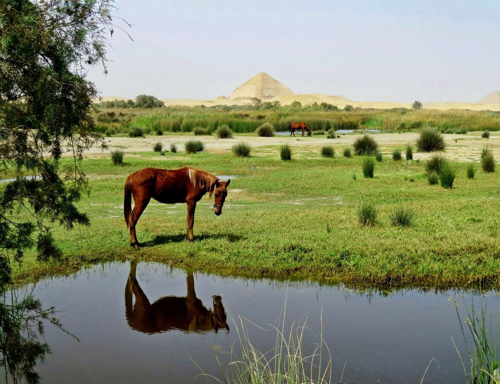 Bent pyramid Dahchour Egypt