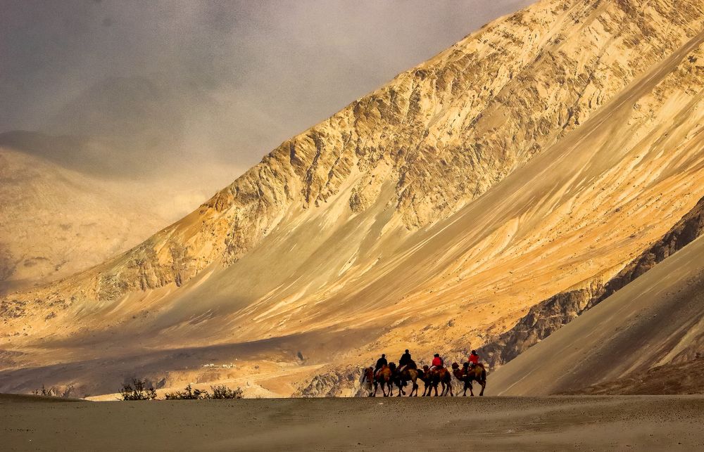 Journey in the enigmatic cold desert