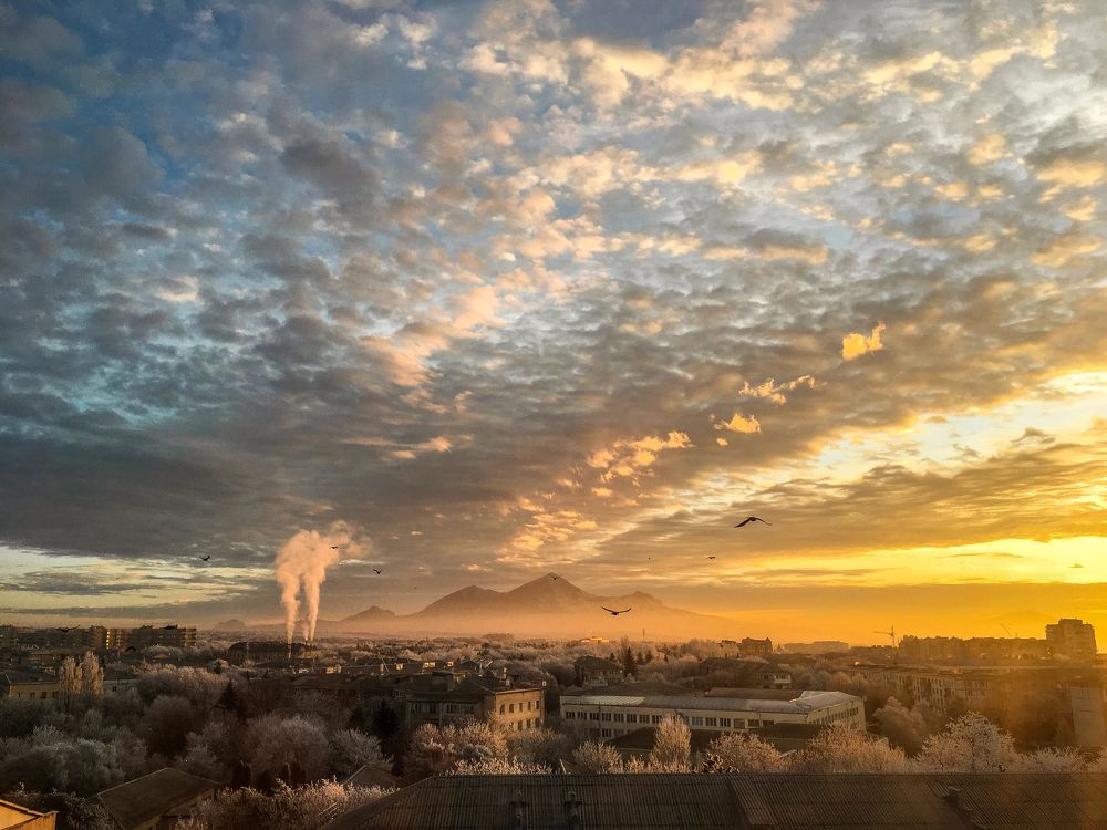 Зимнее утро