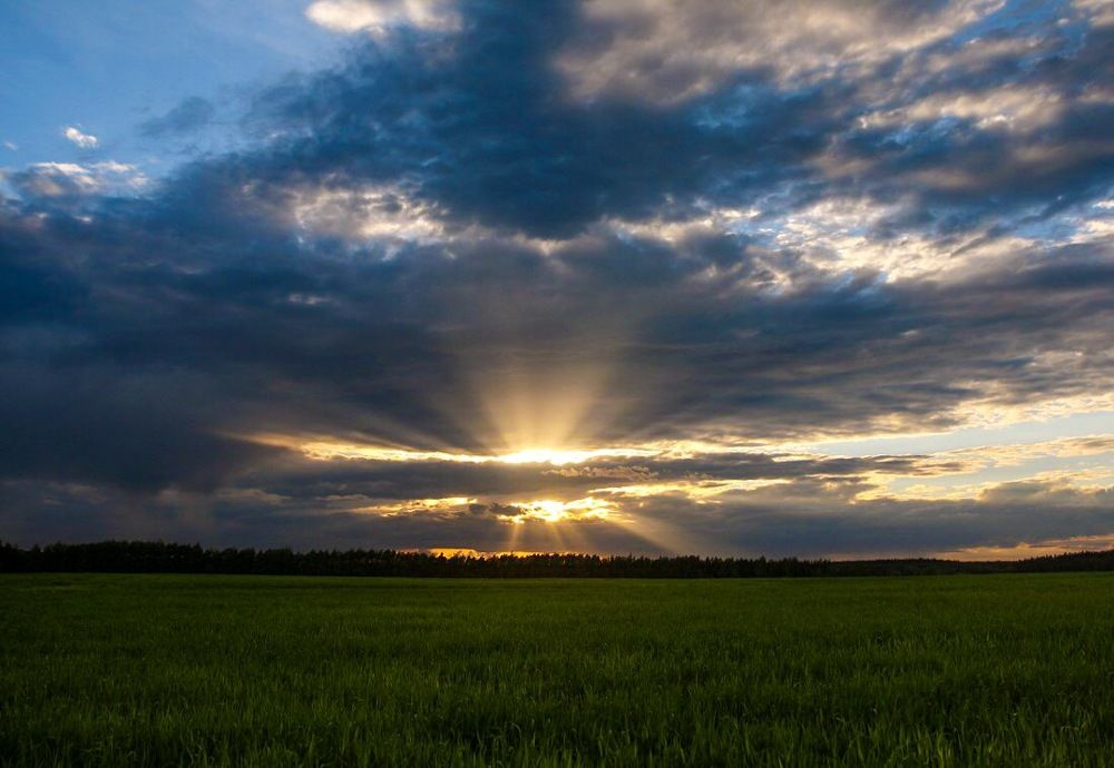 Photograph by Яна Лугинина