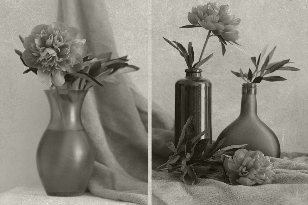 Diptych with peonies