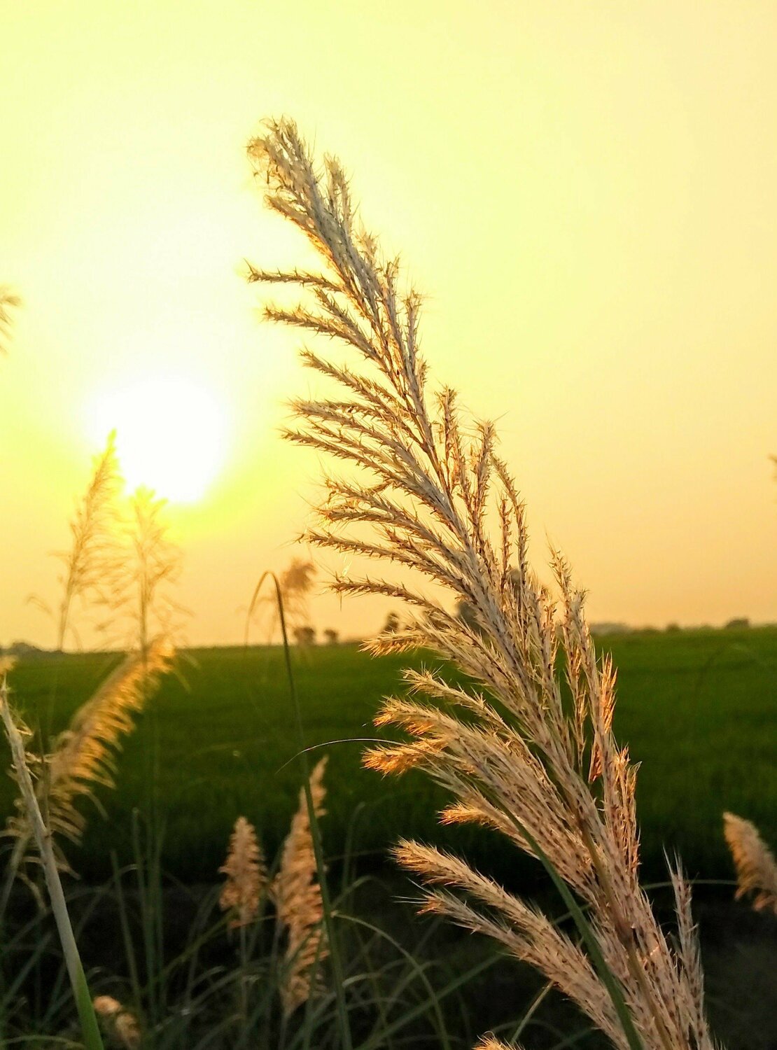 The beauty of dusk