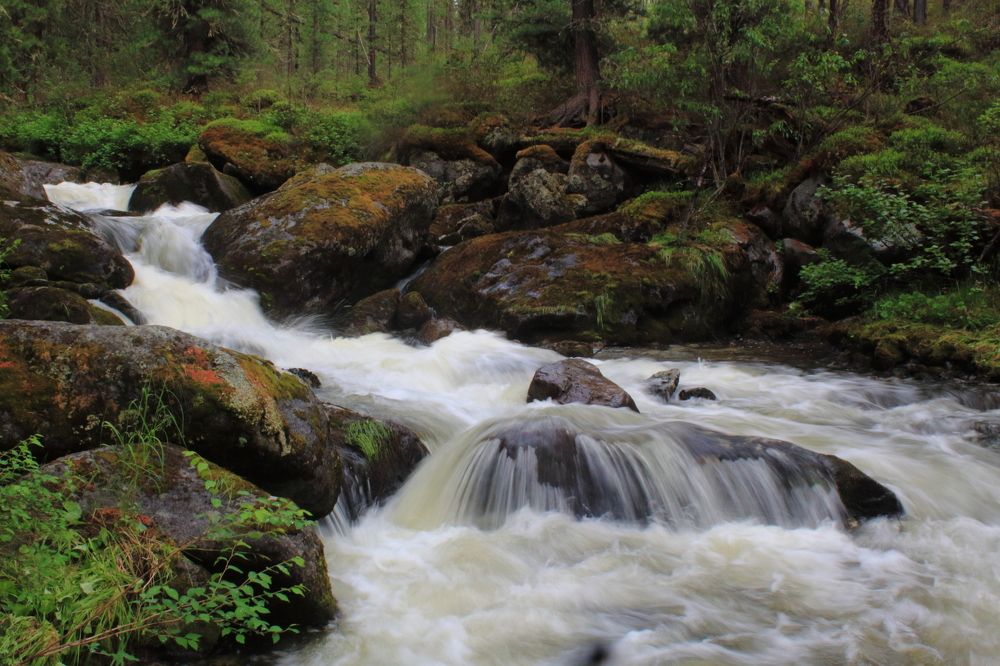 Stoktysh Creek, Sayan Mountains, Khakassia, Russia