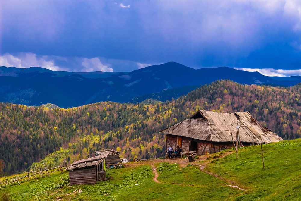 Любимые Карпаты. Полонына Смотрич.