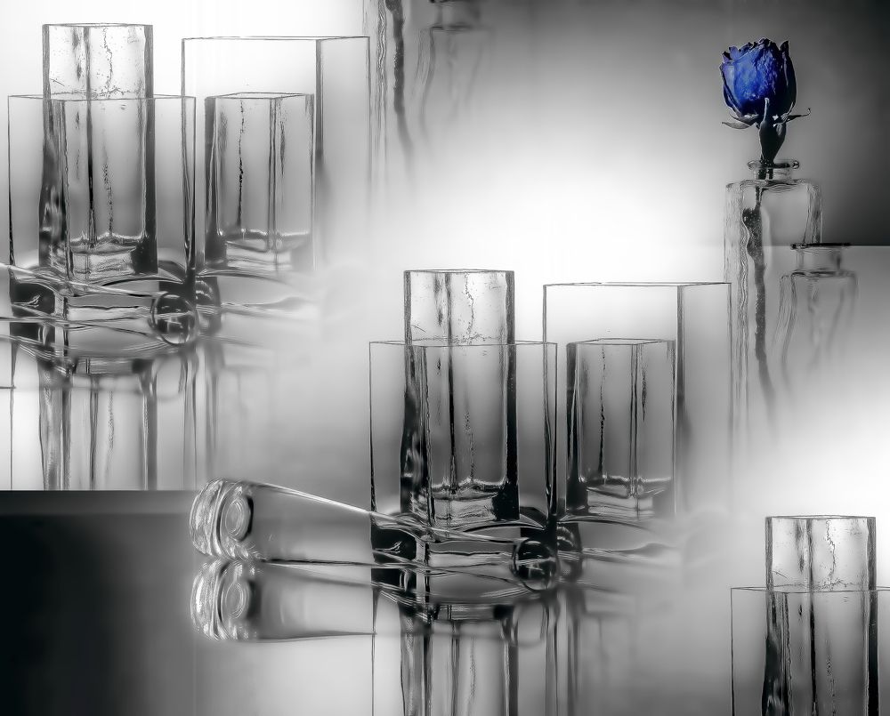 Синяя роза.