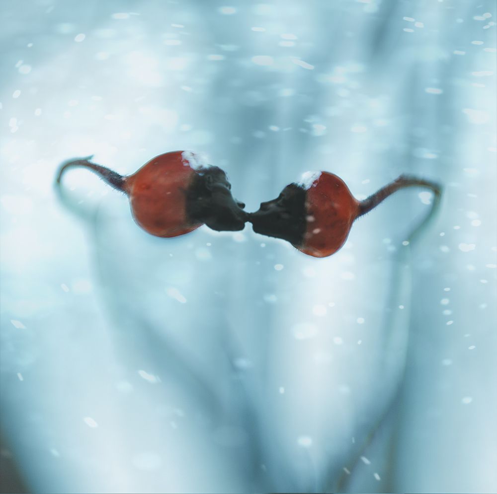 Фотография автора Владимир Щербина