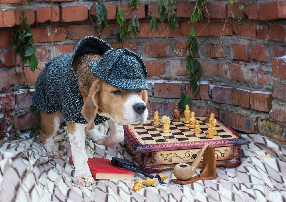 Шерлок Холмс