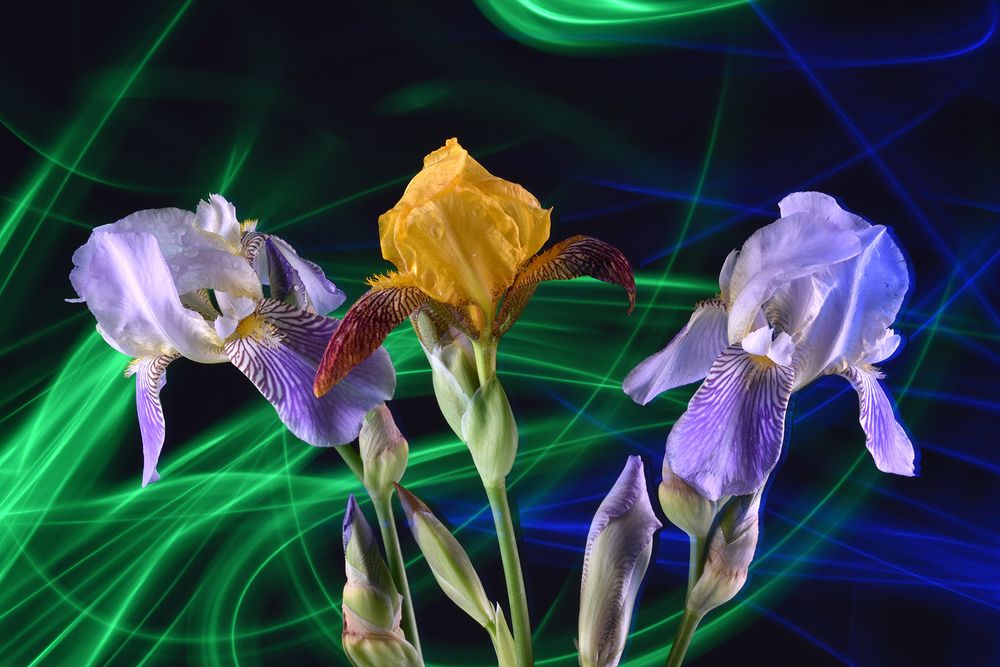 Третий лишний