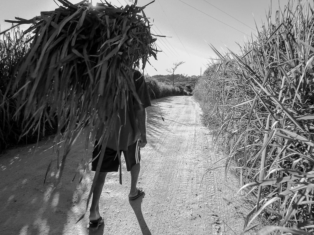 Na estrada.