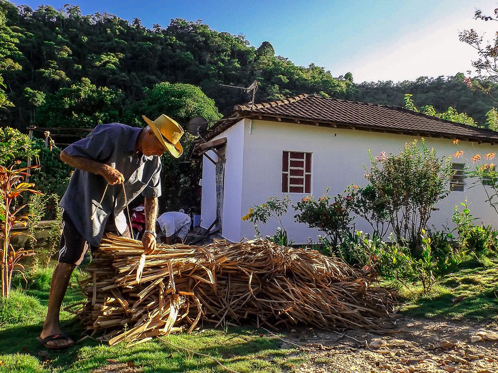 LAÇOS.
