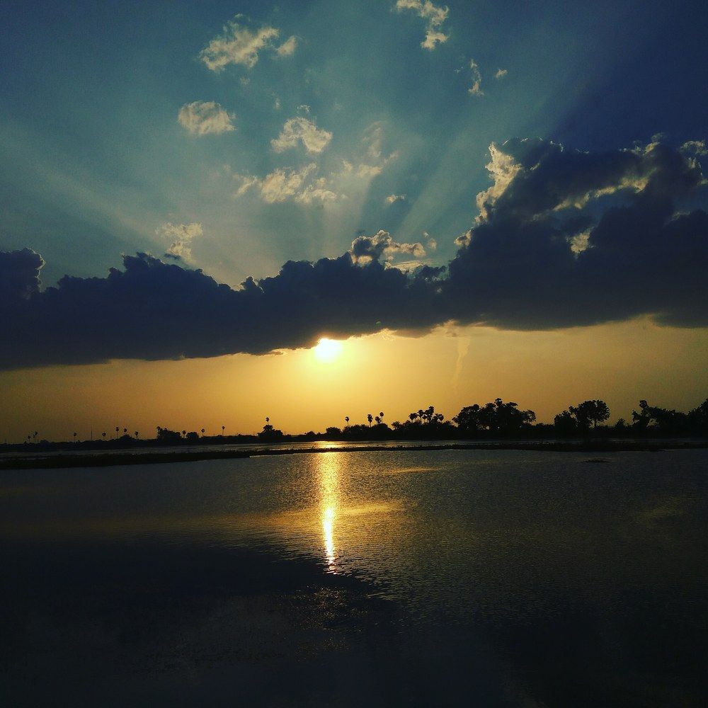 Sunshine