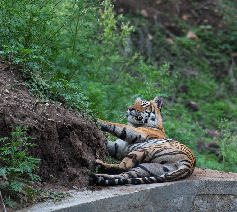 A Bright Future Beckons, The Onus in on Us !!!