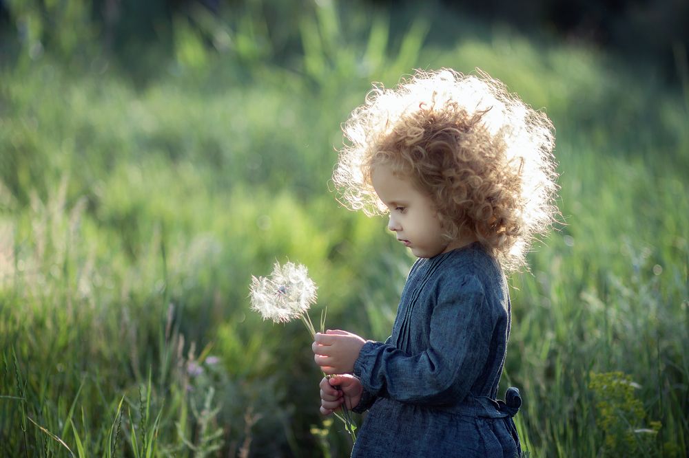 Кто из нас одуванчик?